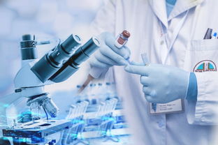 上?；瘖y品加工廠 如何通過基礎軟件服務提升生產效能與合規管理